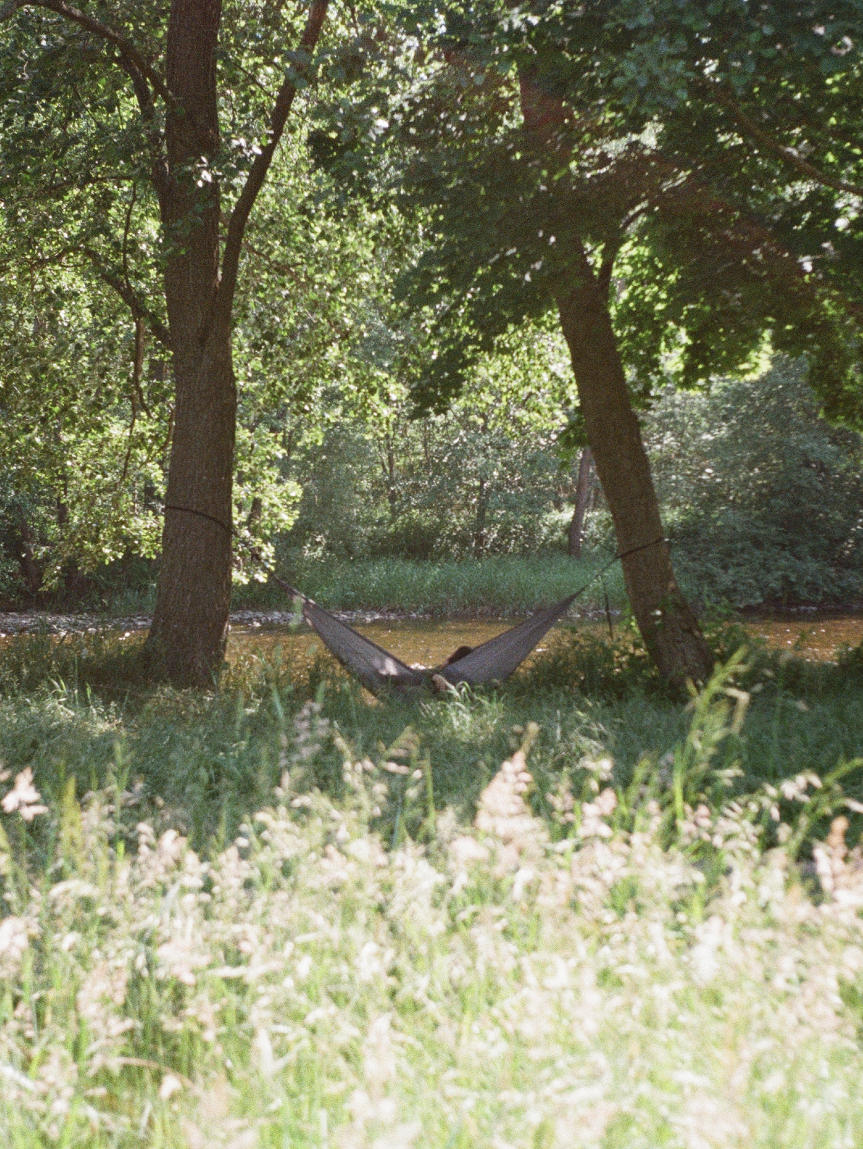 03-TT-BLOG-Bushcraft-Essentials